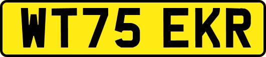 WT75EKR