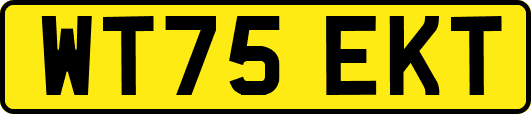 WT75EKT