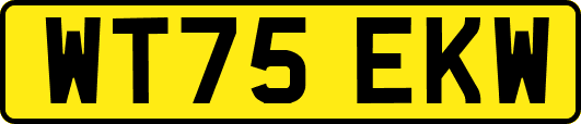 WT75EKW