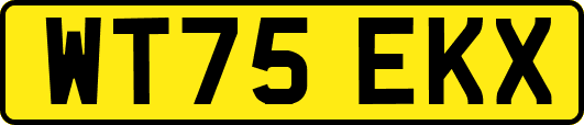 WT75EKX