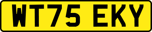 WT75EKY