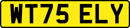 WT75ELY