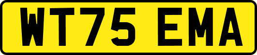 WT75EMA