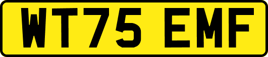 WT75EMF