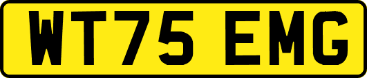 WT75EMG