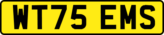 WT75EMS