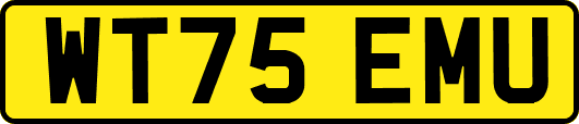 WT75EMU