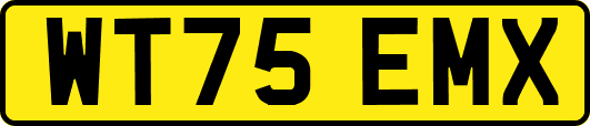 WT75EMX