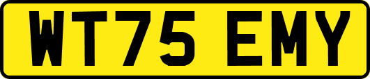 WT75EMY