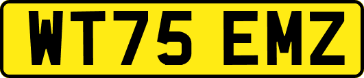 WT75EMZ
