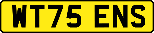WT75ENS