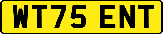 WT75ENT