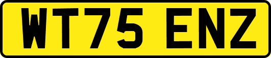 WT75ENZ