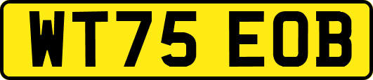 WT75EOB