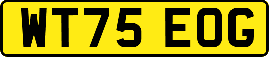 WT75EOG