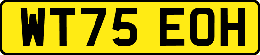 WT75EOH