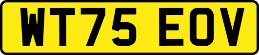 WT75EOV