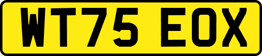 WT75EOX