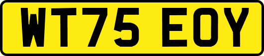 WT75EOY