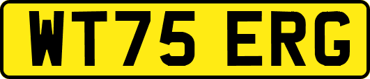 WT75ERG