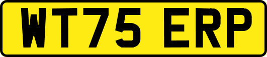 WT75ERP