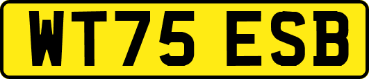 WT75ESB