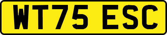 WT75ESC