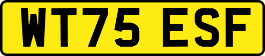 WT75ESF