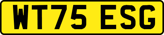 WT75ESG