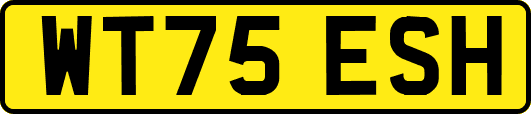 WT75ESH