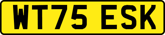 WT75ESK