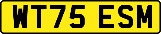 WT75ESM
