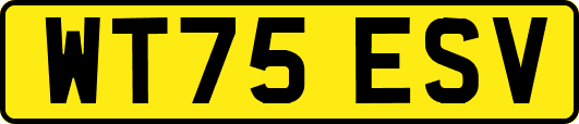WT75ESV