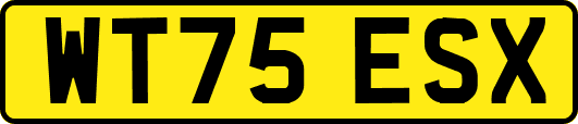 WT75ESX