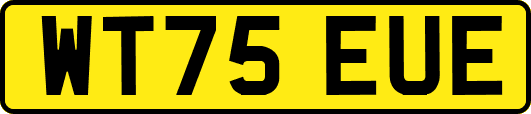 WT75EUE