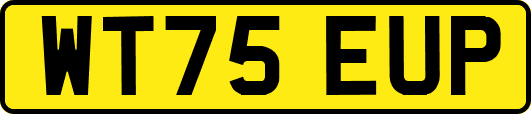 WT75EUP