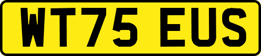 WT75EUS