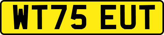 WT75EUT