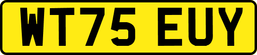 WT75EUY