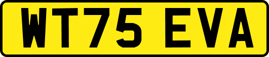 WT75EVA