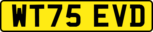 WT75EVD