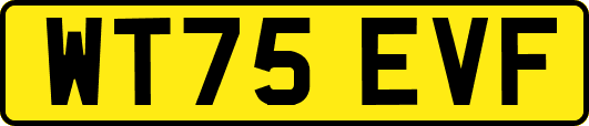 WT75EVF