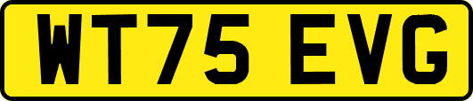 WT75EVG