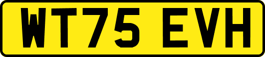 WT75EVH