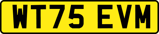 WT75EVM