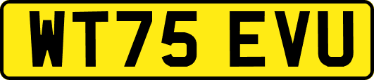 WT75EVU