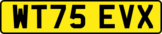 WT75EVX