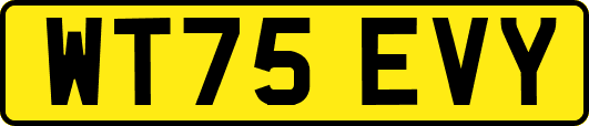 WT75EVY