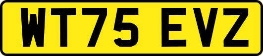 WT75EVZ