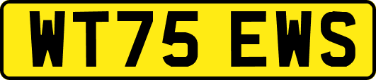 WT75EWS